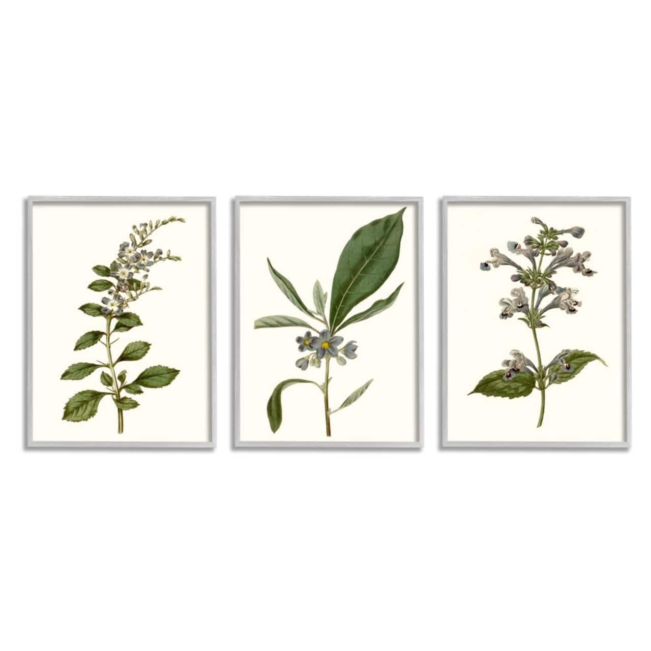Stupell Industries Minimal Blue Botanical Study Over Neutral Beige in Gray Frame Wall Art